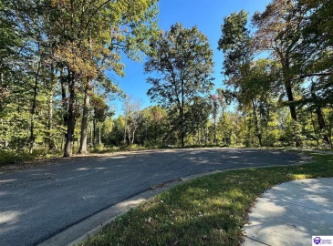 Wren Circle, Campbellsville, Kentucky 42718, ,For Sale,Wren Circle,HK24003833