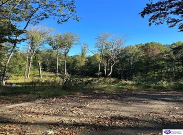 Wren Circle, Campbellsville, Kentucky 42718, ,For Sale,Wren Circle,HK24003834