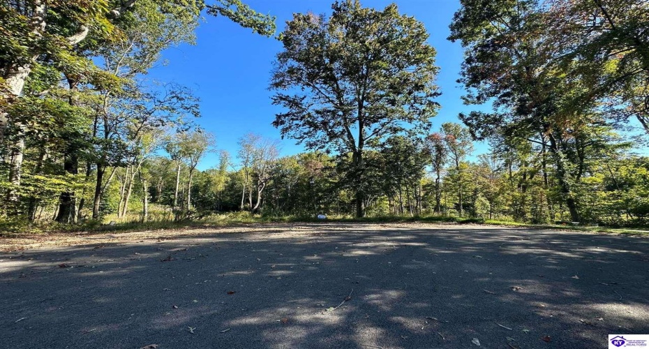 Wren Circle, Campbellsville, Kentucky 42718, ,For Sale,Wren Circle,HK24003834