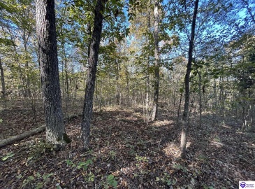 Hudson Fairfield Road, Hudson, Kentucky 40145, ,For Sale,Hudson Fairfield Road,HK24003835