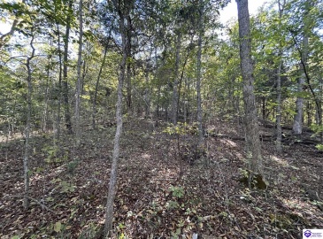 Hudson Fairfield Road, Hudson, Kentucky 40145, ,For Sale,Hudson Fairfield Road,HK24003835