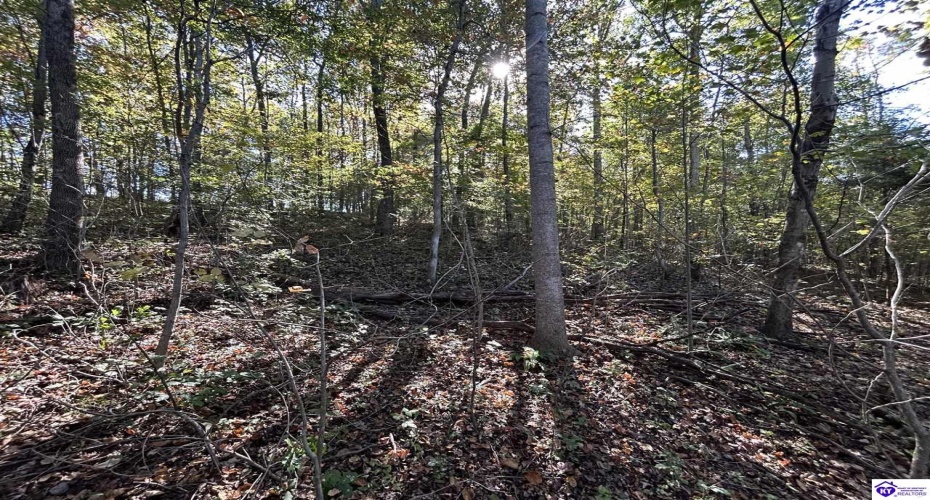 Hudson Fairfield Road, Hudson, Kentucky 40145, ,For Sale,Hudson Fairfield Road,HK24003835