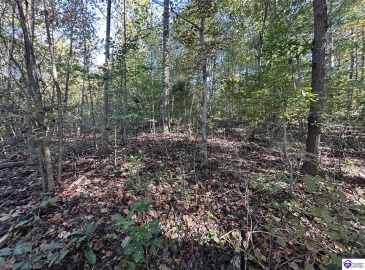 Hudson Fairfield Road, Hudson, Kentucky 40145, ,For Sale,Hudson Fairfield Road,HK24003835