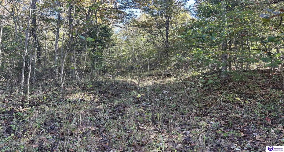 Hudson Fairfield Road, Hudson, Kentucky 40145, ,For Sale,Hudson Fairfield Road,HK24003835