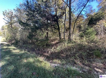 Hudson Fairfield Road, Hudson, Kentucky 40145, ,For Sale,Hudson Fairfield Road,HK24003835