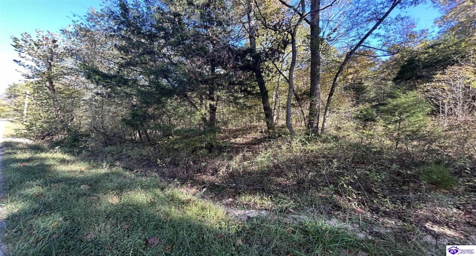 Hudson Fairfield Road, Hudson, Kentucky 40145, ,For Sale,Hudson Fairfield Road,HK24003835