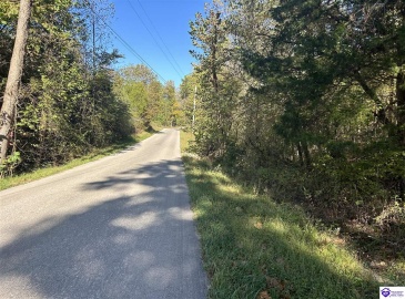 Hudson Fairfield Road, Hudson, Kentucky 40145, ,For Sale,Hudson Fairfield Road,HK24003835