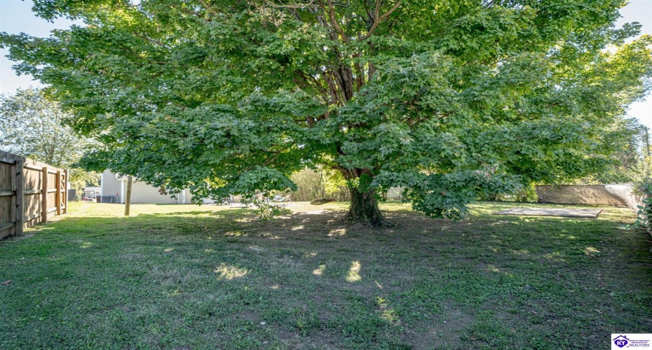 Miles Street, Elizabethtown, Kentucky 42701, ,2 BathroomsBathrooms,For Sale,Miles Street,HK24003837