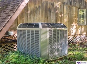 Wheeler Road, Bardstown, Kentucky 40004, ,3 BathroomsBathrooms,For Sale,Wheeler Road,HK24003847 Wheeler Road, Bardstown, Kentucky 40004, ,3 BathroomsBathrooms,For Sale,Wheeler Road,HK24003847