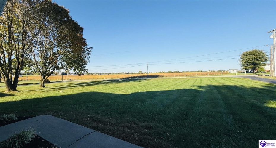 Elkhorn Road, Campbellsville, Kentucky 42718, ,1 BathroomBathrooms,For Sale,Elkhorn Road,HK24003853