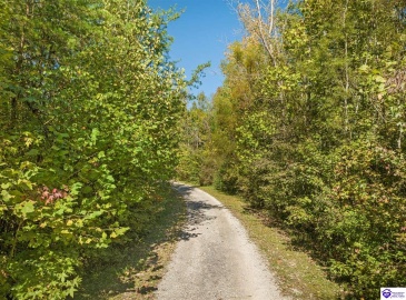 Forest Hill Road, Shepherdsville, Kentucky 40165, ,4 BathroomsBathrooms,For Sale,Forest Hill Road,HK24003888 Forest Hill Road, Shepherdsville, Kentucky 40165, ,4 BathroomsBathrooms,For Sale,Forest Hill Road,HK24003888