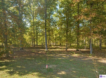 Forest Hill Road, Shepherdsville, Kentucky 40165, ,4 BathroomsBathrooms,For Sale,Forest Hill Road,HK24003888 Forest Hill Road, Shepherdsville, Kentucky 40165, ,4 BathroomsBathrooms,For Sale,Forest Hill Road,HK24003888