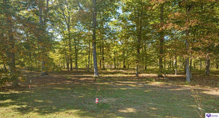 Forest Hill Road, Shepherdsville, Kentucky 40165, ,4 BathroomsBathrooms,For Sale,Forest Hill Road,HK24003888 Forest Hill Road, Shepherdsville, Kentucky 40165, ,4 BathroomsBathrooms,For Sale,Forest Hill Road,HK24003888