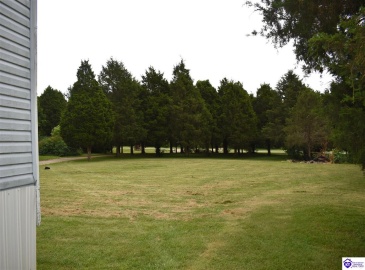 Guy Court, Guston, Kentucky 40142, ,2 BathroomsBathrooms,For Sale,Guy Court,HK24003890 Guy Court, Guston, Kentucky 40142, ,2 BathroomsBathrooms,For Sale,Guy Court,HK24003890