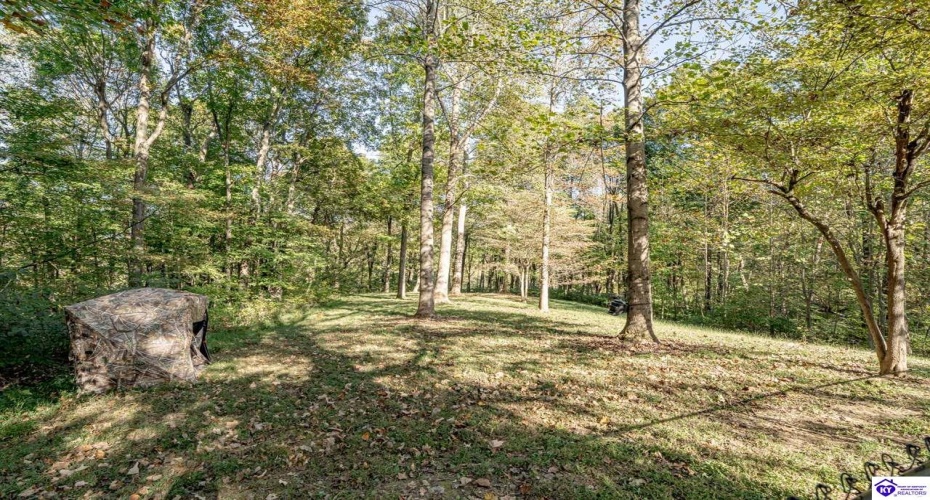 Chaparral Drive, Elizabethtown, Kentucky 42701, ,4 BathroomsBathrooms,For Sale,Chaparral Drive,HK24003899 Chaparral Drive, Elizabethtown, Kentucky 42701, ,4 BathroomsBathrooms,For Sale,Chaparral Drive,HK24003899