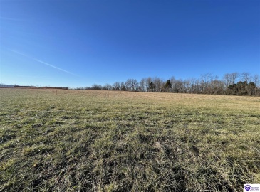 Highway 60, Harned, Kentucky 40144, ,For Sale,Highway 60,HK24000113