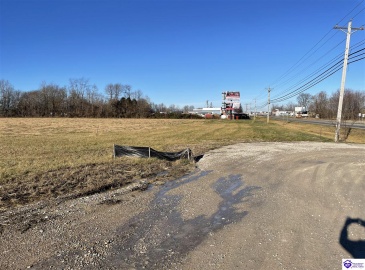 Highway 60, Harned, Kentucky 40144, ,For Sale,Highway 60,HK24000113