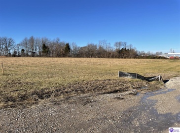 Highway 60, Harned, Kentucky 40144, ,For Sale,Highway 60,HK24000113