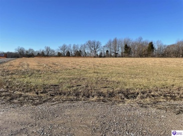 Highway 60, Harned, Kentucky 40144, ,For Sale,Highway 60,HK24000113