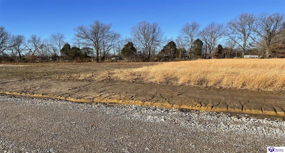 Highway 60, Harned, Kentucky 40144, ,For Sale,Highway 60,HK24000113