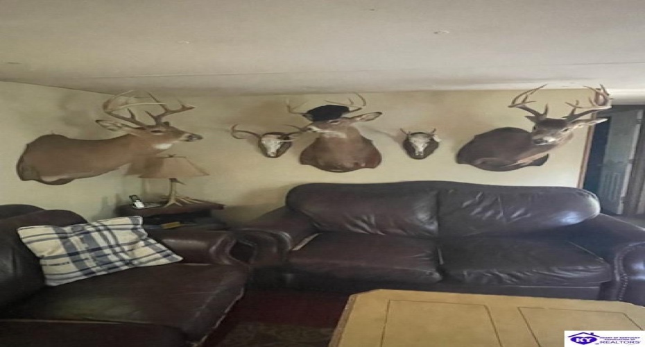 Pine Ridge Road, Battletown, Kentucky 40104, ,2 BathroomsBathrooms,For Sale,Pine Ridge Road,HK24003919