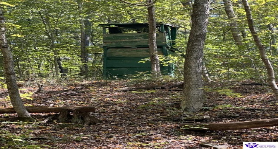 Pine Ridge Road, Battletown, Kentucky 40104, ,2 BathroomsBathrooms,For Sale,Pine Ridge Road,HK24003919