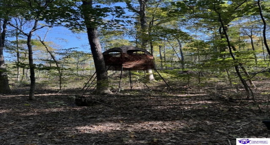 Pine Ridge Road, Battletown, Kentucky 40104, ,2 BathroomsBathrooms,For Sale,Pine Ridge Road,HK24003919