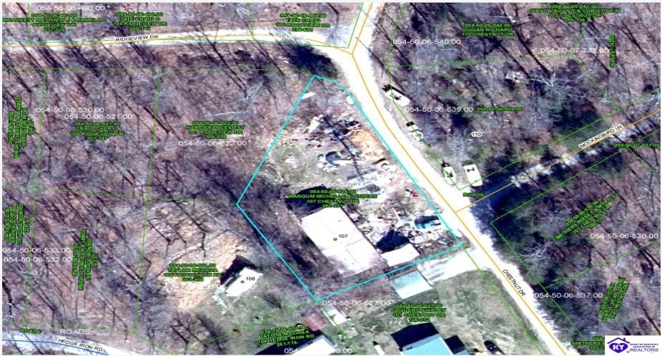 Chestnut Drive, Mammoth Cave, Kentucky 42259, ,For Sale,Chestnut Drive,HK24003584