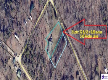 Poplar Lane, Falls Of Rough, Kentucky 40143, ,2 BathroomsBathrooms,For Sale,Poplar Lane,HK24003941