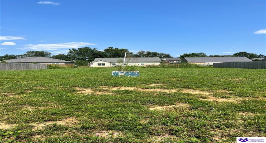 Blatina Drive, Vine Grove, Kentucky 40175, ,For Sale,Blatina Drive,HK24003955