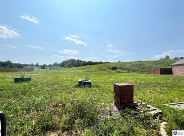 Blatina Drive, Vine Grove, Kentucky 40175, ,For Sale,Blatina Drive,HK24003955