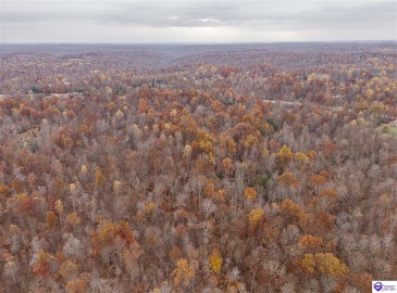 Skaggs Road, Buffalo, Kentucky 42716, ,For Sale,Skaggs Road,HK23003773 Skaggs Road, Buffalo, Kentucky 42716, ,For Sale,Skaggs Road,HK23003773