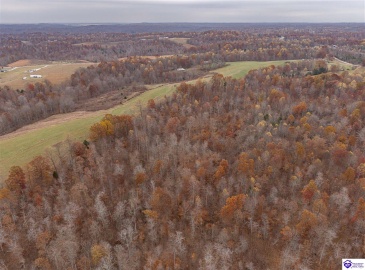 Skaggs Road, Buffalo, Kentucky 42716, ,For Sale,Skaggs Road,HK23003773 Skaggs Road, Buffalo, Kentucky 42716, ,For Sale,Skaggs Road,HK23003773