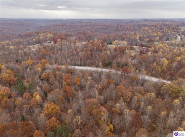 Skaggs Road, Buffalo, Kentucky 42716, ,For Sale,Skaggs Road,HK23003773 Skaggs Road, Buffalo, Kentucky 42716, ,For Sale,Skaggs Road,HK23003773