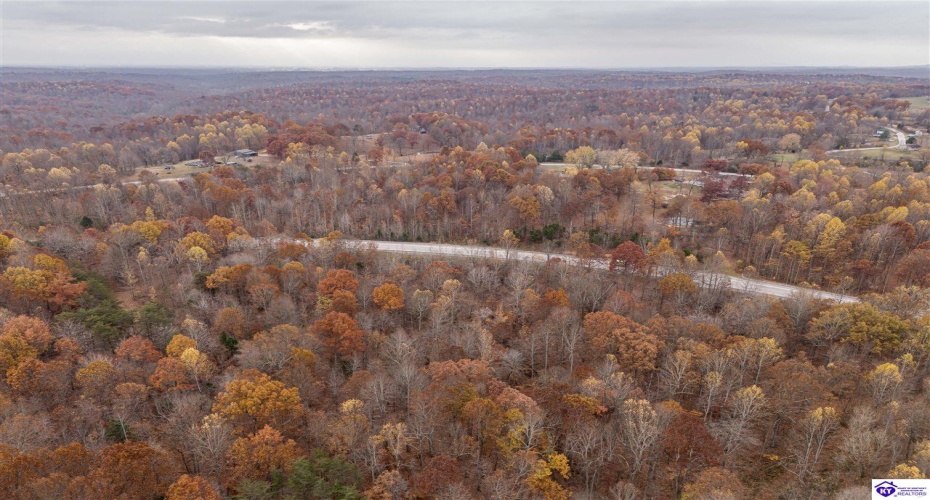 Skaggs Road, Buffalo, Kentucky 42716, ,For Sale,Skaggs Road,HK23003773