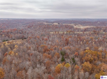 Skaggs Road, Buffalo, Kentucky 42716, ,For Sale,Skaggs Road,HK23003773 Skaggs Road, Buffalo, Kentucky 42716, ,For Sale,Skaggs Road,HK23003773