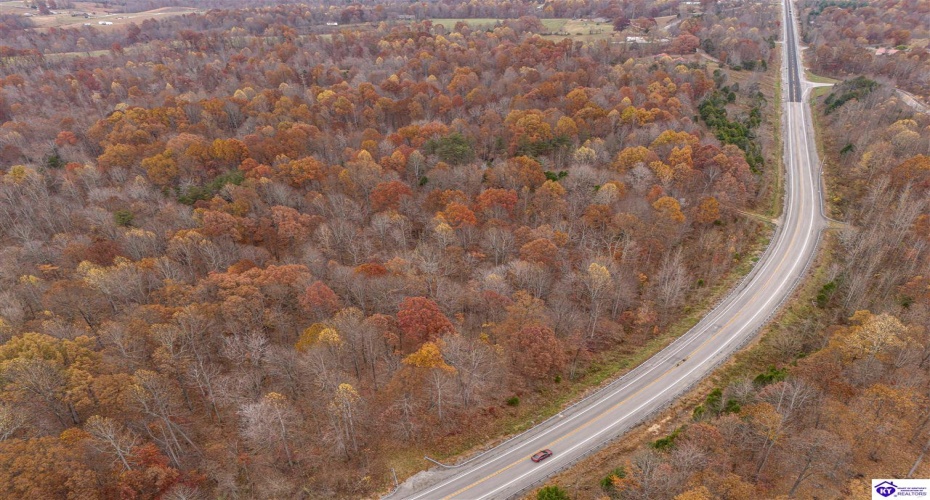 Skaggs Road, Buffalo, Kentucky 42716, ,For Sale,Skaggs Road,HK23003773