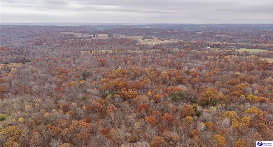 Skaggs Road, Buffalo, Kentucky 42716, ,For Sale,Skaggs Road,HK23003773