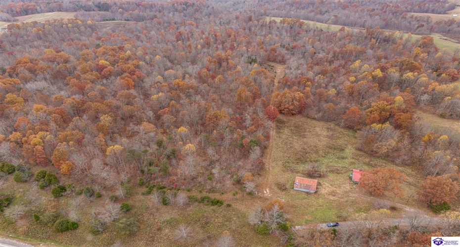 Skaggs Road, Buffalo, Kentucky 42716, ,For Sale,Skaggs Road,HK23003773