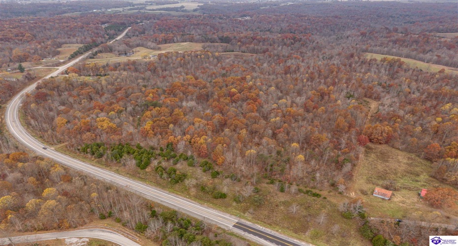 Skaggs Road, Buffalo, Kentucky 42716, ,For Sale,Skaggs Road,HK23003773