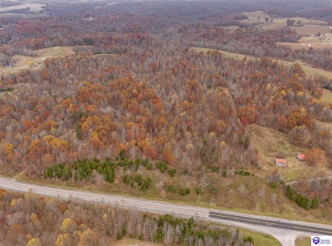 Skaggs Road, Buffalo, Kentucky 42716, ,For Sale,Skaggs Road,HK23003773 Skaggs Road, Buffalo, Kentucky 42716, ,For Sale,Skaggs Road,HK23003773