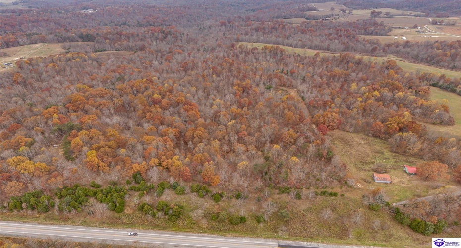 Skaggs Road, Buffalo, Kentucky 42716, ,For Sale,Skaggs Road,HK23003773