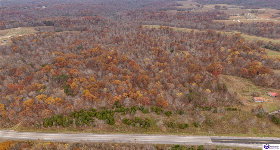 Skaggs Road, Buffalo, Kentucky 42716, ,For Sale,Skaggs Road,HK23003773