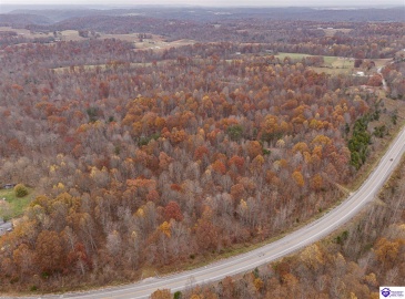 Skaggs Road, Buffalo, Kentucky 42716, ,For Sale,Skaggs Road,HK23003773 Skaggs Road, Buffalo, Kentucky 42716, ,For Sale,Skaggs Road,HK23003773