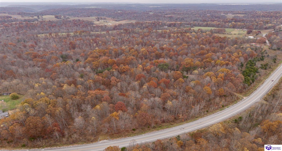 Skaggs Road, Buffalo, Kentucky 42716, ,For Sale,Skaggs Road,HK23003773