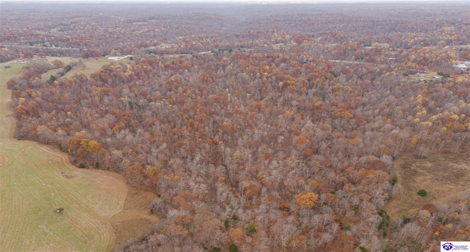 Skaggs Road, Buffalo, Kentucky 42716, ,For Sale,Skaggs Road,HK23003773