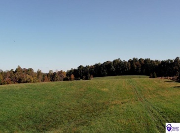 Roy Road, Eastview, Kentucky 42732, ,For Sale,Roy Road,HK24004014