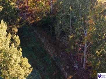 Roy Road, Eastview, Kentucky 42732, ,For Sale,Roy Road,HK24004014