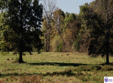 Roy Road, Eastview, Kentucky 42732, ,For Sale,Roy Road,HK24004014