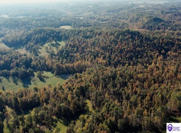 Roy Road, Eastview, Kentucky 42732, ,For Sale,Roy Road,HK24004014